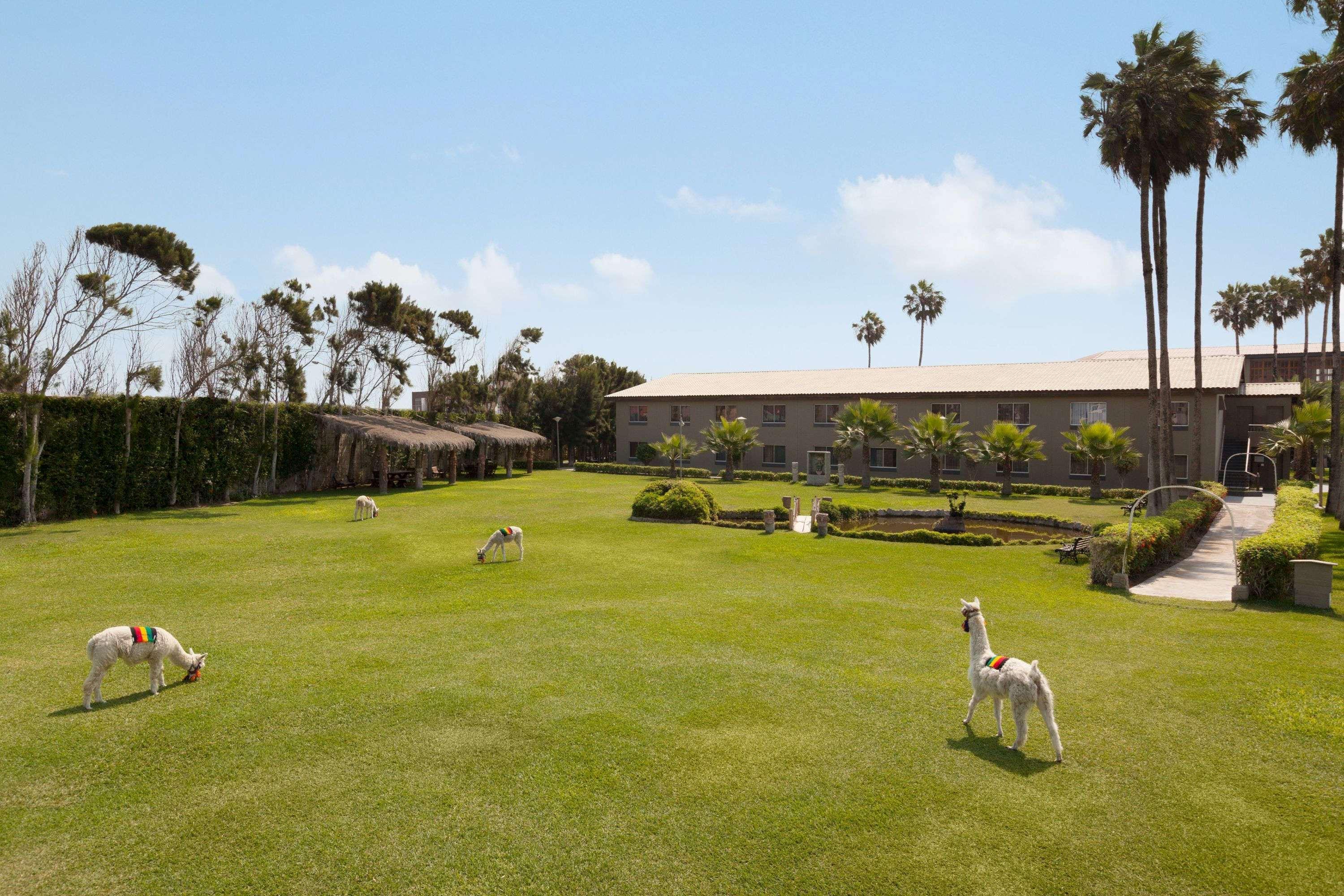 Wyndham Costa Del Sol Trujillo Hotel Huaman Exterior photo The Dog Park at the Ronald Reagan Presidential Library